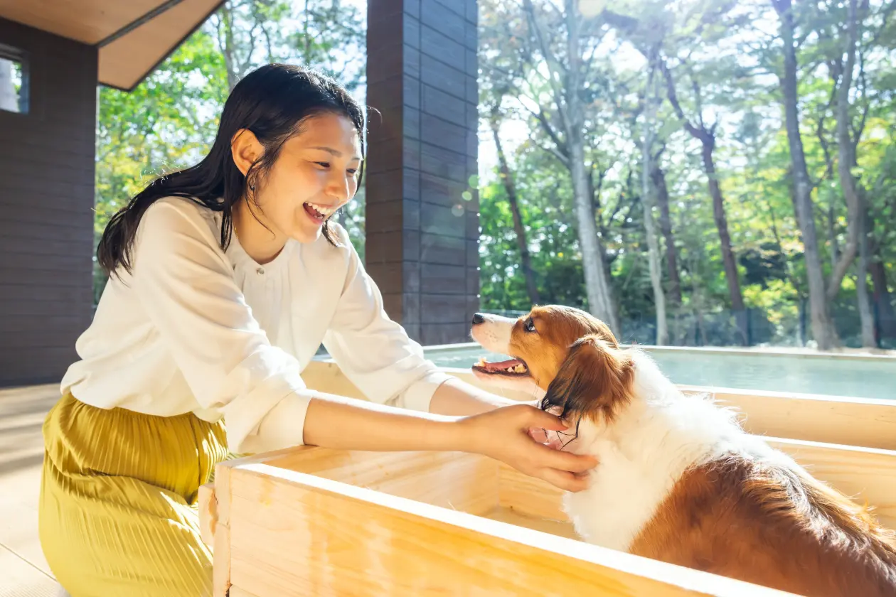 画像：わんちゃん専用の湯舟で飼い主と一緒